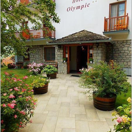 Hotel Olympic Metsovo Luaran gambar