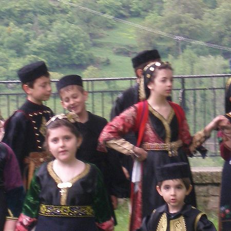Hotel Olympic Metsovo Luaran gambar