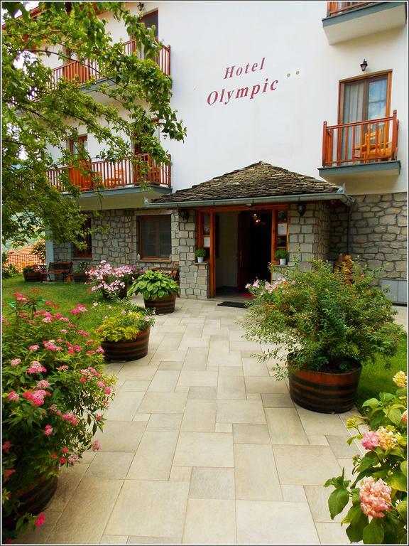 Hotel Olympic Metsovo Luaran gambar